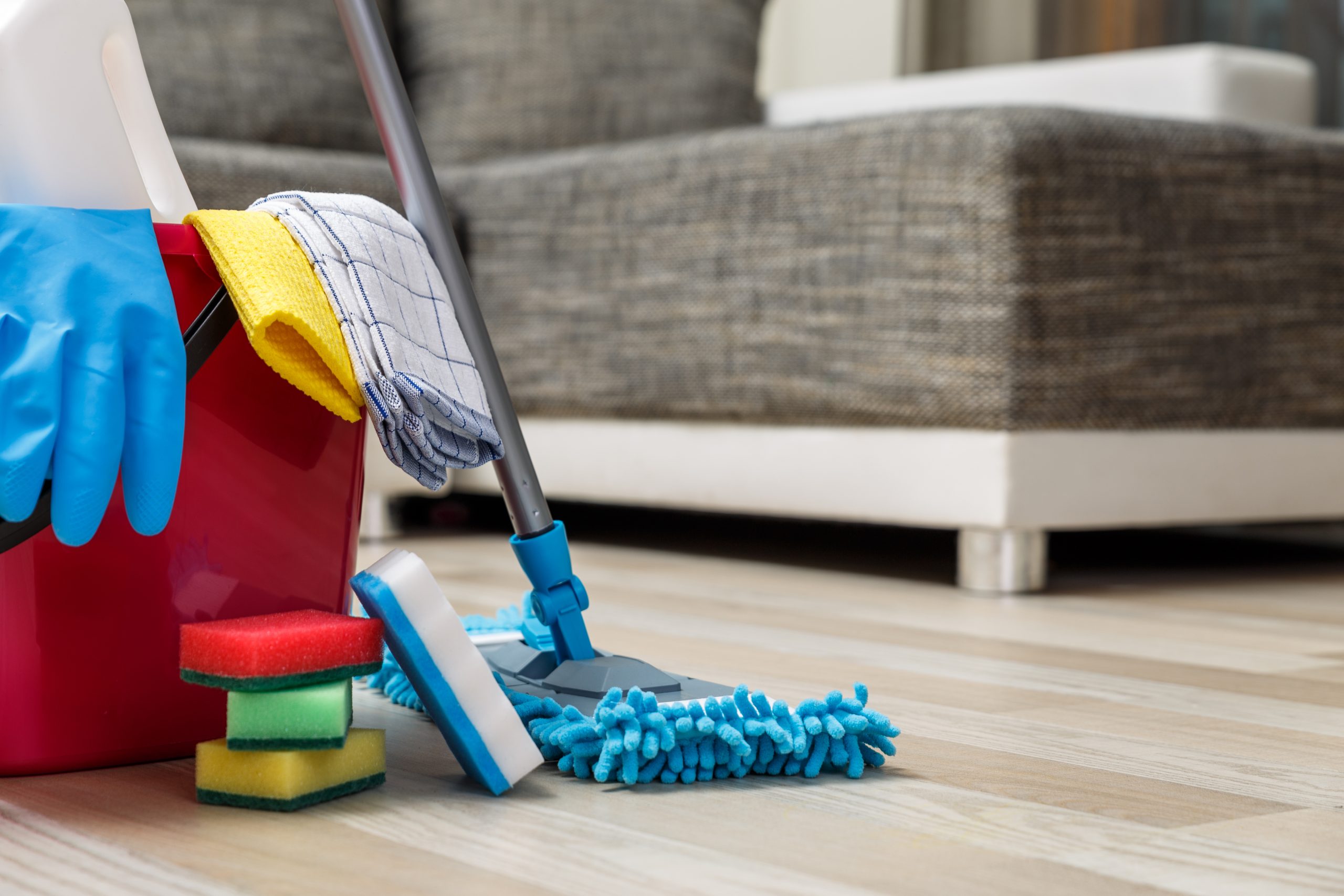 Cleaning service. Sponges, chemicals and mop.